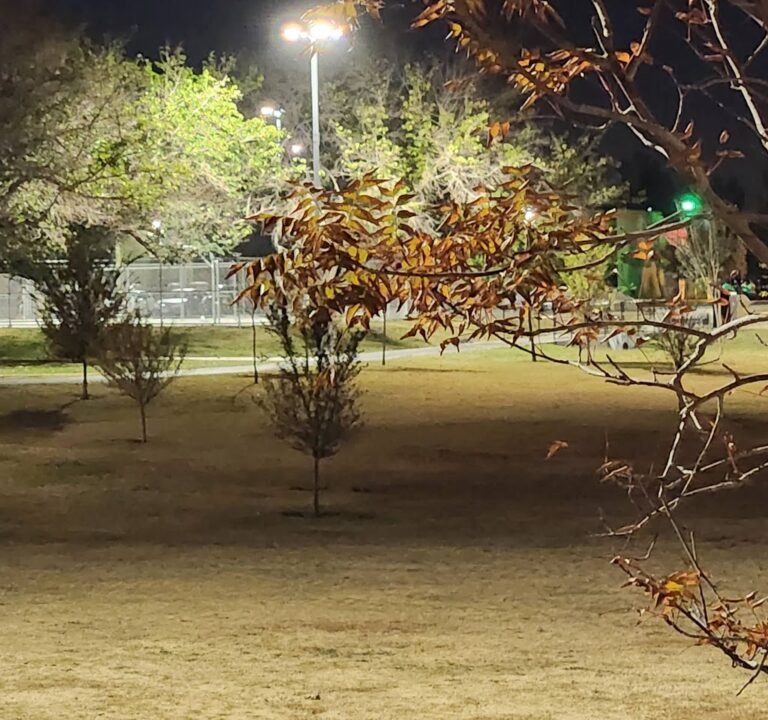 Soccer Field image 2