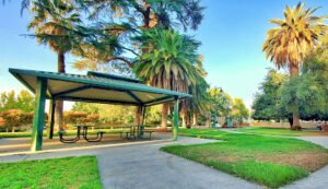 Soccer Field image 1