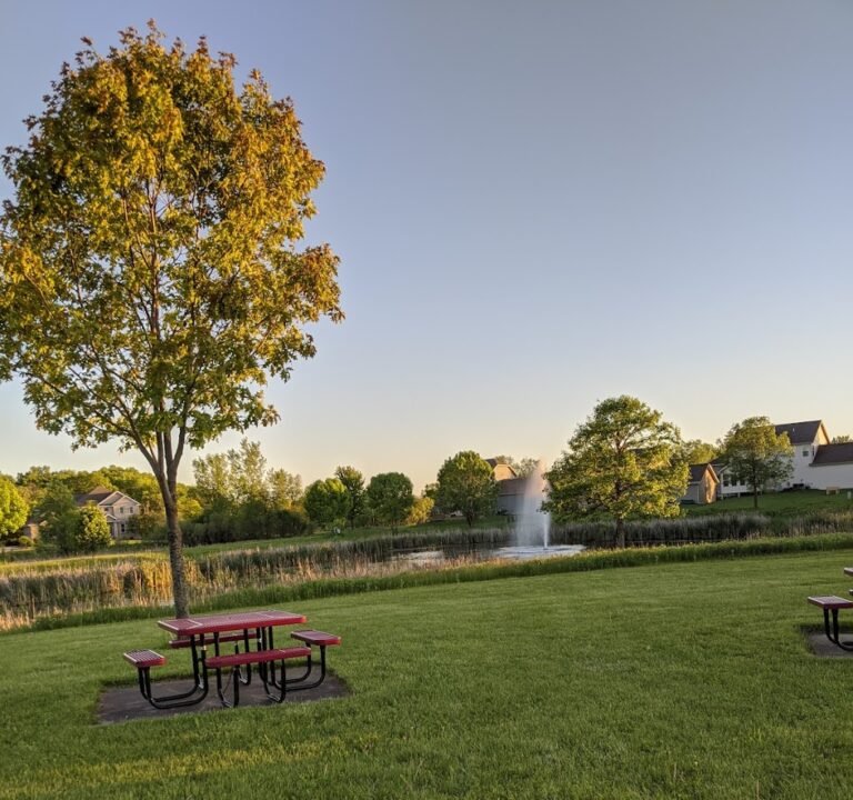 Soccer Field image 2