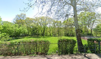 Soccer Field image 1
