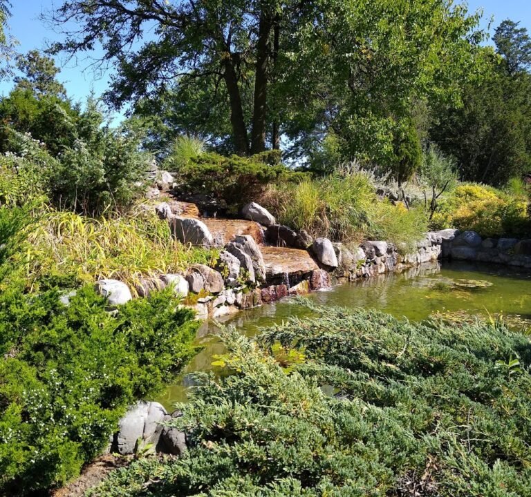 Soccer Field image 2