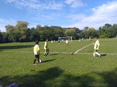 Soccer Field image 1