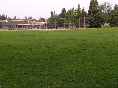 Soccer Field image 1