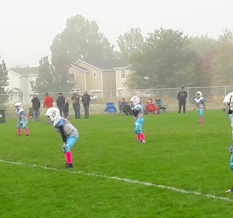 Soccer Field image 3