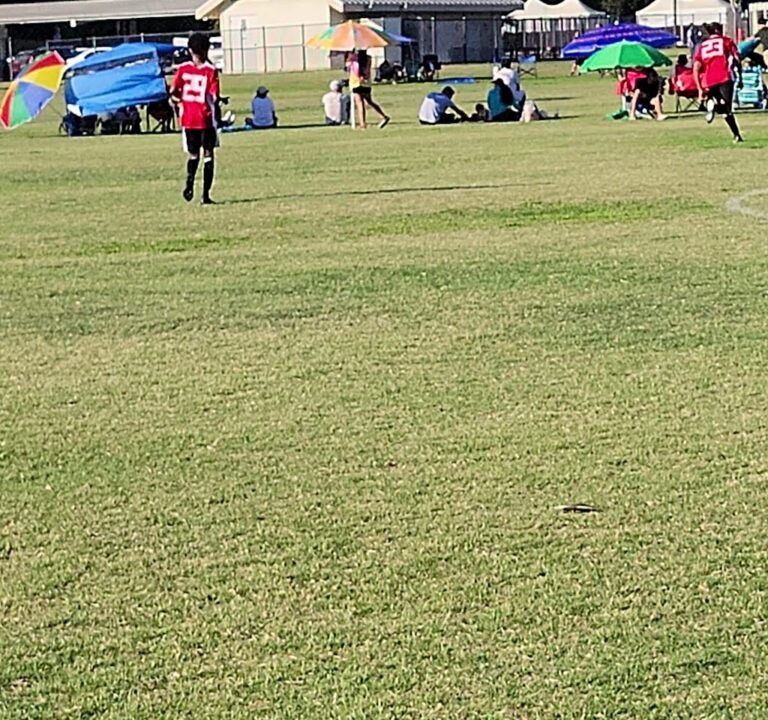 Soccer Field image 3
