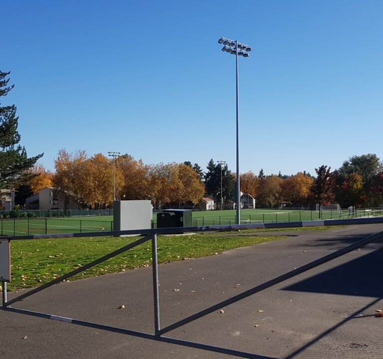 Soccer Field image 2