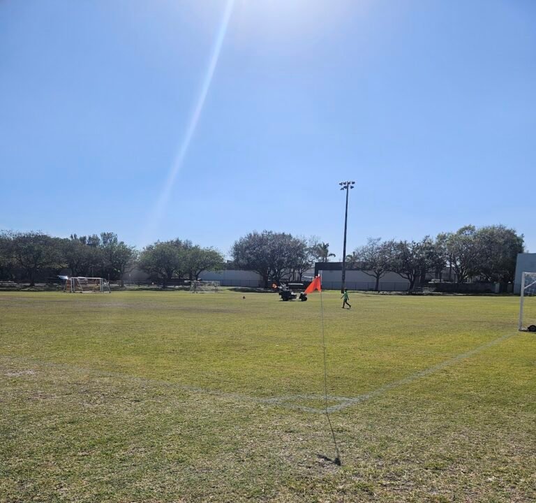 Soccer Field image 2