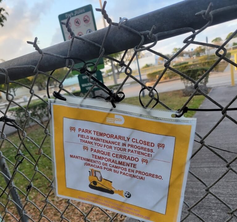 Soccer Field image 3