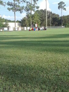Soccer Field image 1