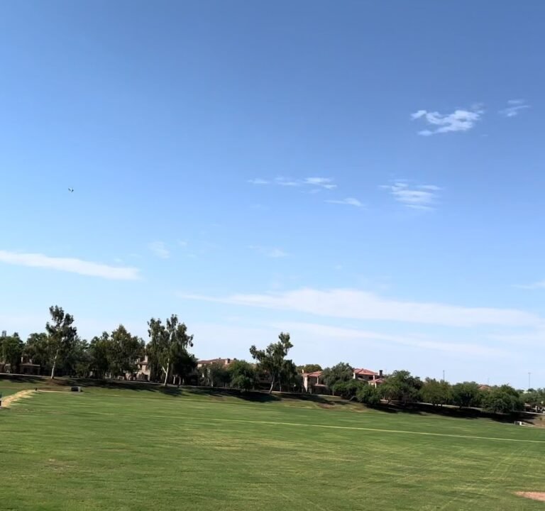 Soccer Field image 4