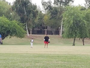 Soccer Field image 1