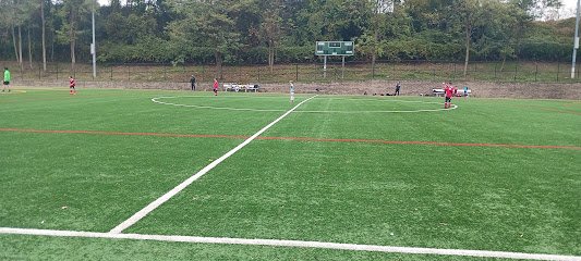 Soccer Field image 1