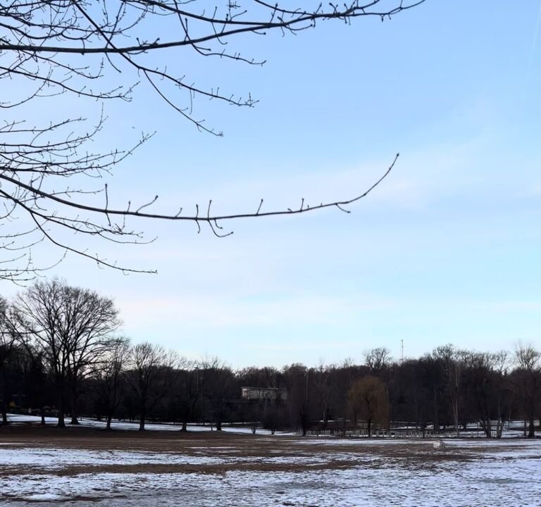 Soccer Field image 3