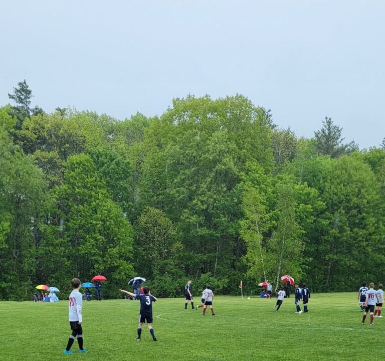 Soccer Field image 2