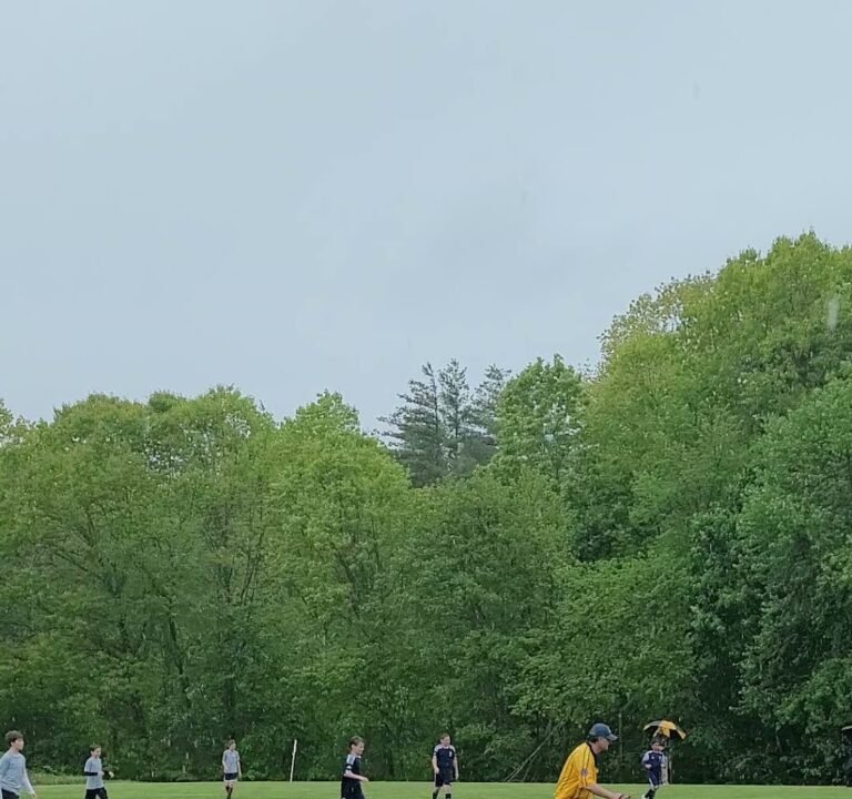 Soccer Field image 3