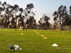Soccer Field image 1