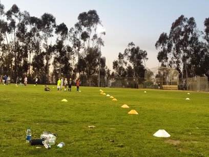 Soccer Field image 1