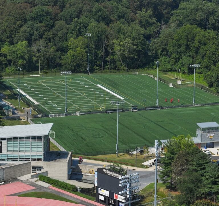 Soccer Field image 2