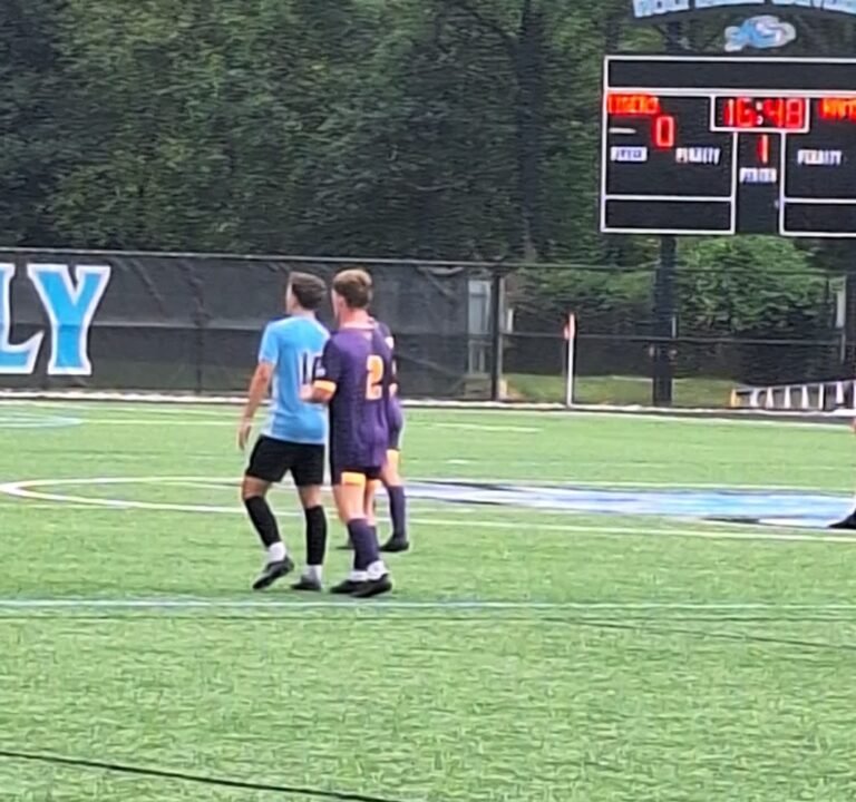 Soccer Field image 2