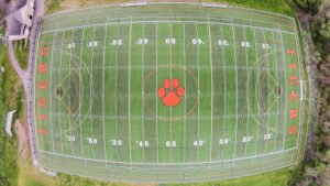 Soccer Field image 1