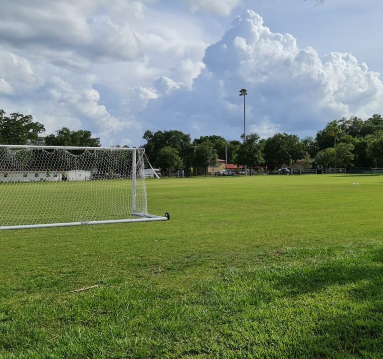Soccer Field image 3