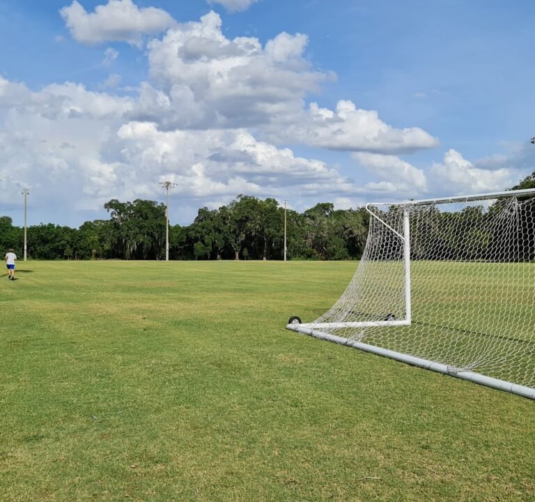 Soccer Field image 2