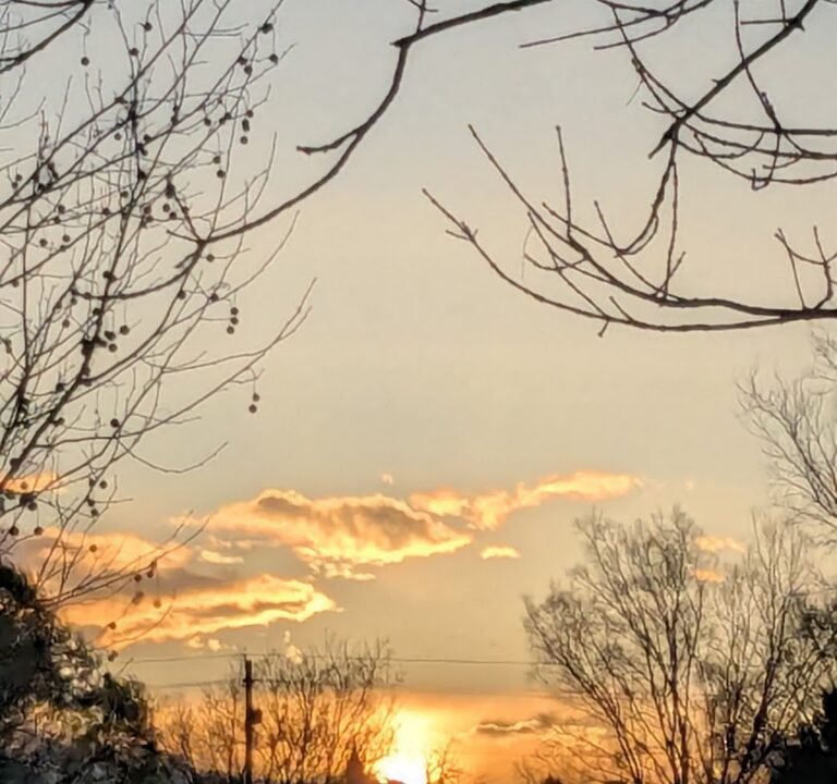 Soccer Field image 3