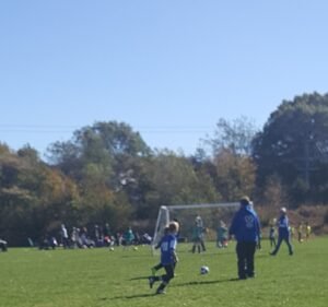 Soccer Field image 2