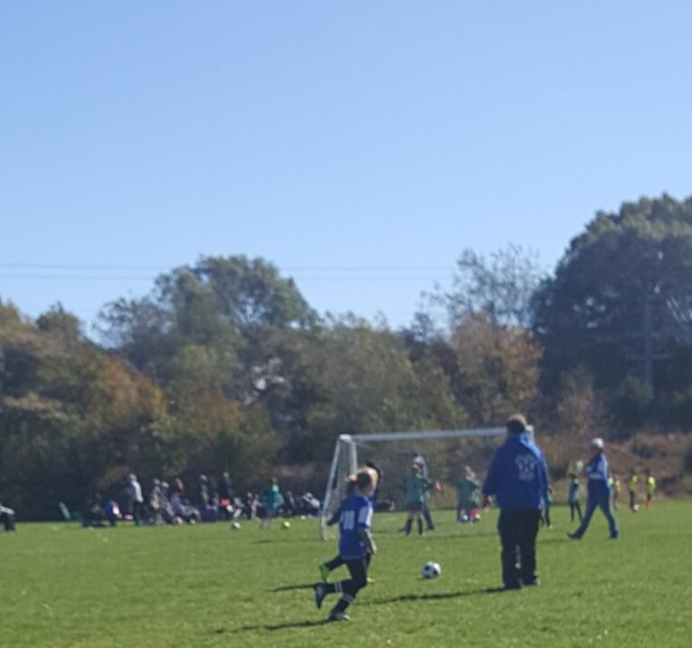 Soccer Field image 2