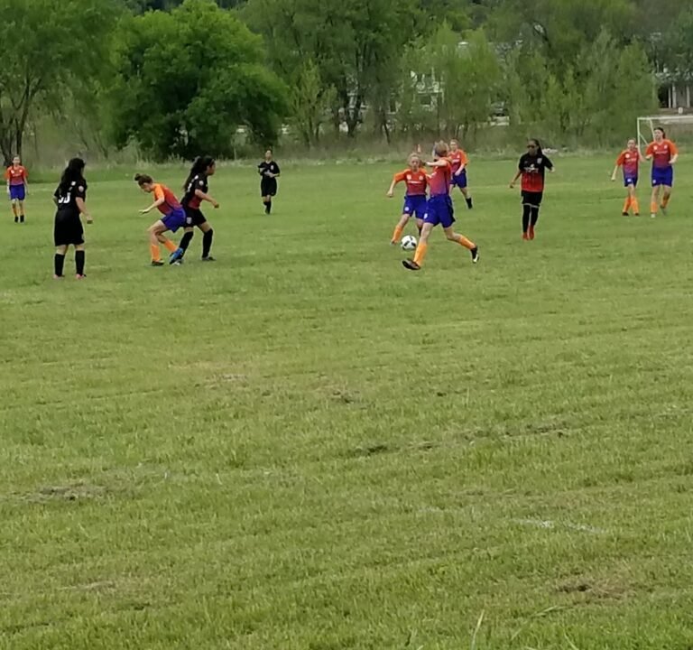 Soccer Field image 3