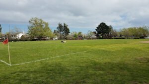 Soccer Field image 1