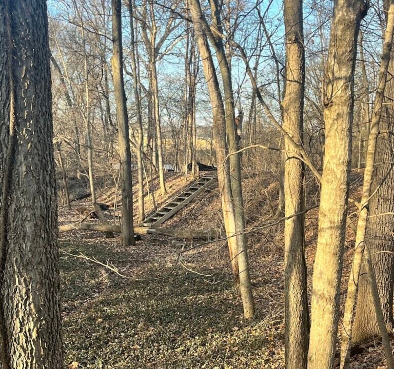 Soccer Field image 3