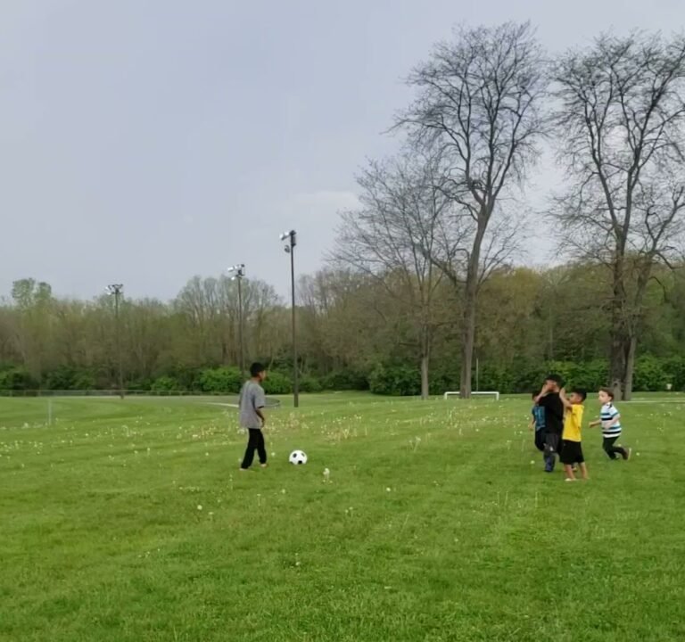 Soccer Field image 4