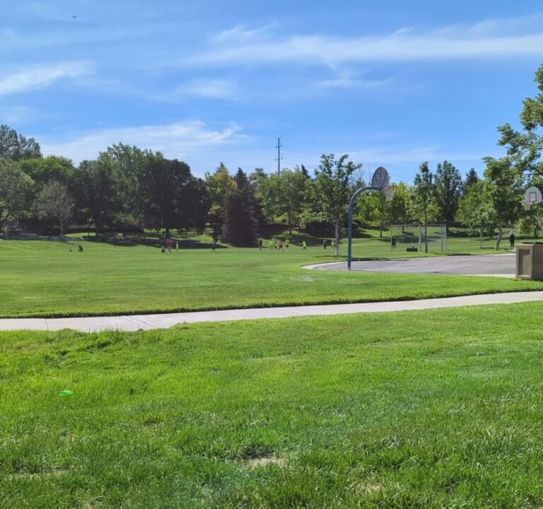 Soccer Field image 3