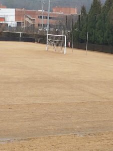 Soccer Field image 1