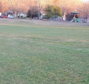 Soccer Field image 2