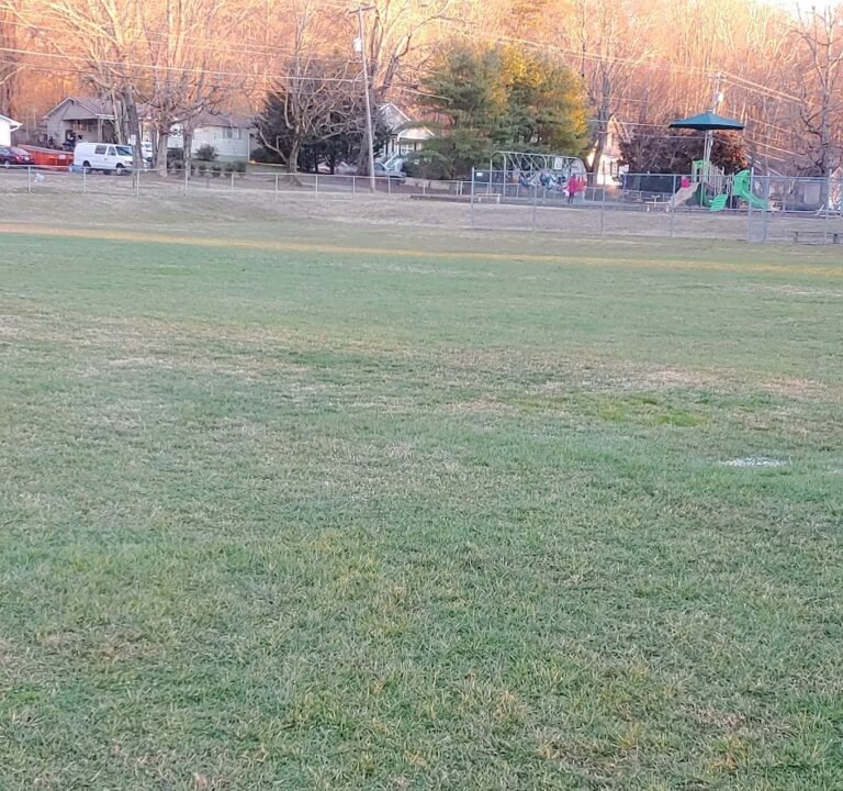 Soccer Field image 2