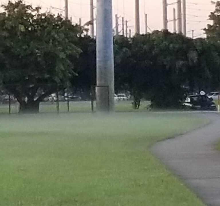 Soccer Field image 2