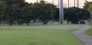 Soccer Field image 1