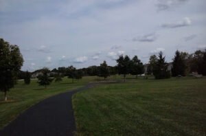 Soccer Field image 1