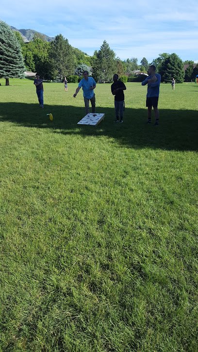 Soccer Field image 1