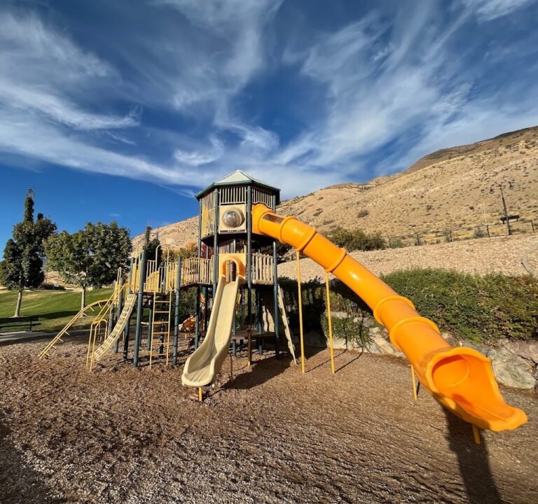 Soccer Field image 2