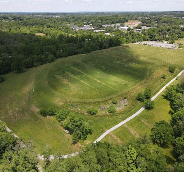 Soccer Field image 2