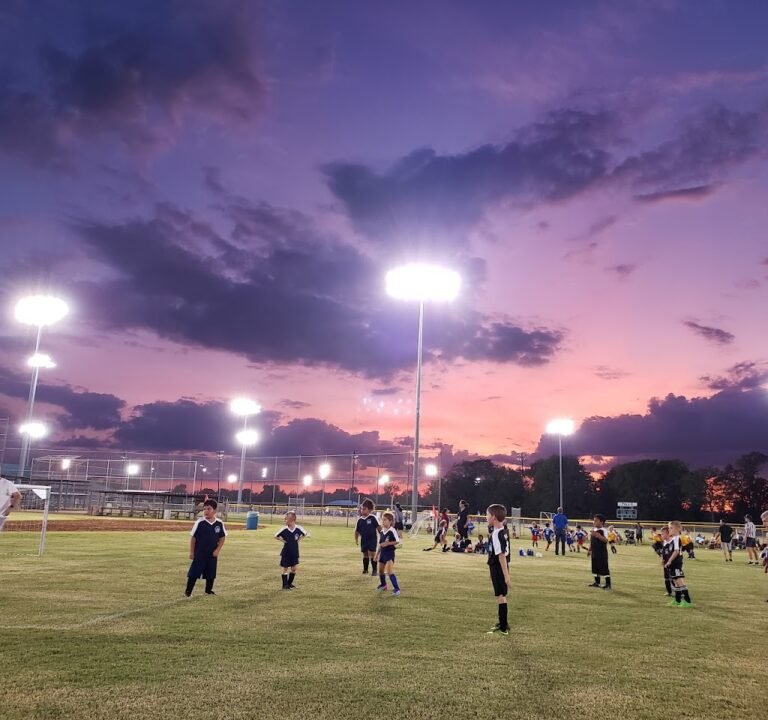 Soccer Field image 2