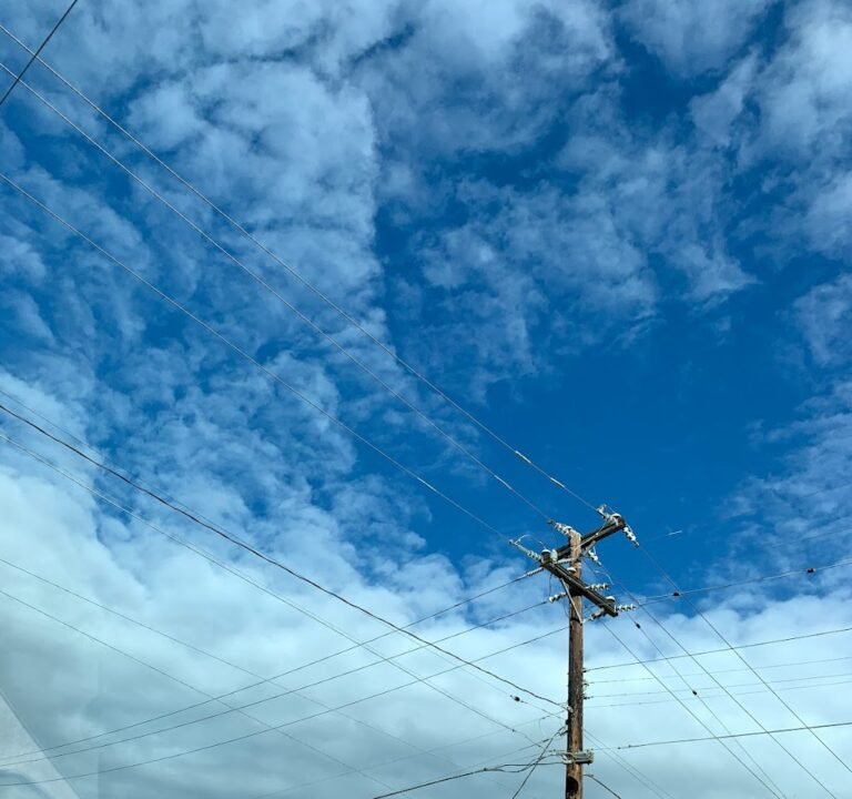 Soccer Field image 2