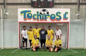 Soccer Field image 1