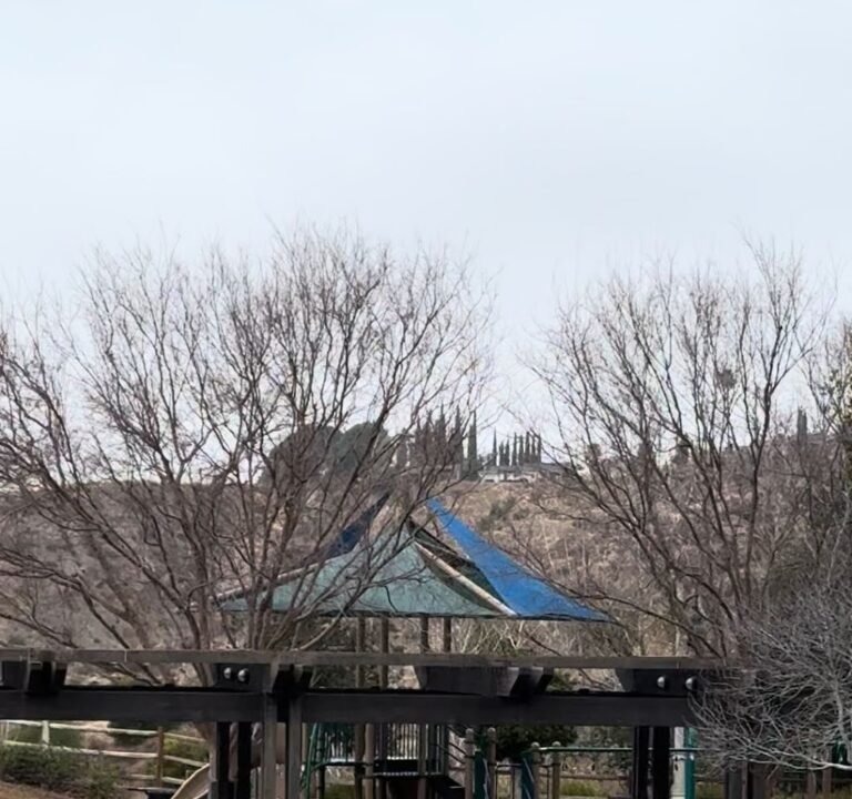 Soccer Field image 4