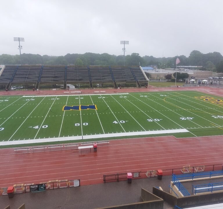 Soccer Field image 2