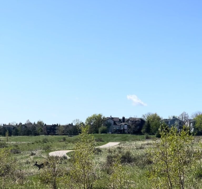 Soccer Field image 4