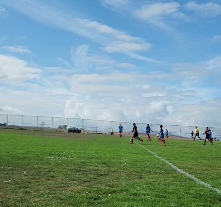 Soccer Field image 4